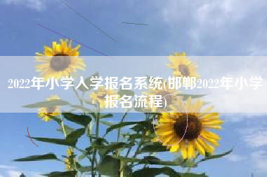 详细阅读:2022年小学入学报名系统(邯郸2022年小学报名流程) 2022年小学入学报名系统(邯郸2022年小学报名流程)