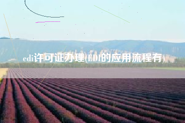 详细阅读:edi许可证办理(EDI的应用流程有) edi许可证办理(EDI的应用流程有)