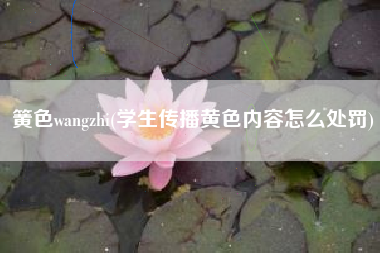 详细阅读:簧色wangzhi(学生传播黄色内容怎么处罚) 簧色wangzhi(学生传播黄色内容怎么处罚)