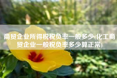 详细阅读:商贸企业所得税税负率一般多少(化工商贸企业一般税负率多少算正常) 商贸企业所得税税负率一般多少(化工商贸企业一般税负率多少算正常)