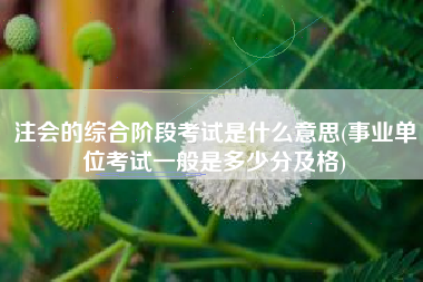 注会的综合阶段考试是什么意思(事业单位考试一般是多少分及格)