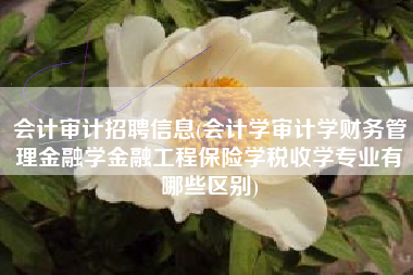 会计审计招聘信息(会计学审计学财务管理金融学金融工程保险学税收学专业有哪些区别)