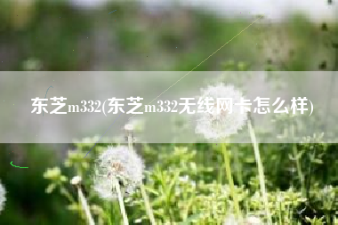 东芝m332(东芝m332无线网卡怎么样)