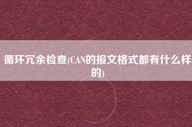 循环冗余检查(CAN的报文格式都有什么样的)