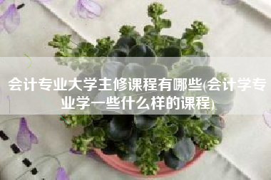 会计专业大学主修课程有哪些(会计学专业学一些什么样的课程)