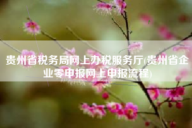 贵州省税务局网上办税服务厅(贵州省企业零申报网上申报流程)