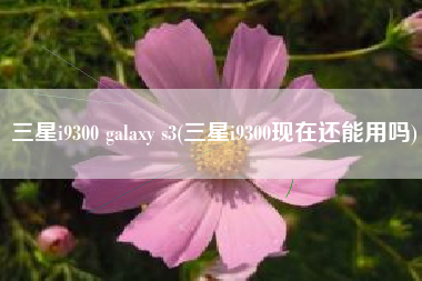 三星i9300 galaxy s3(三星i9300现在还能用吗)