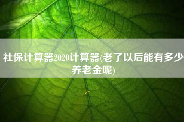 社保计算器2020计算器(老了以后能有多少养老金呢)