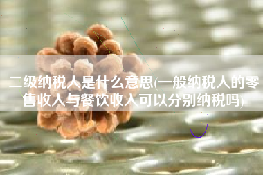 二级纳税人是什么意思(一般纳税人的零售收入与餐饮收入可以分别纳税吗)