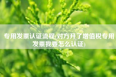 专用发票认证流程(对方开了增值税专用发票我要怎么认证)