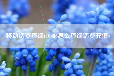 移动话费查询(10086怎么查询话费充值)