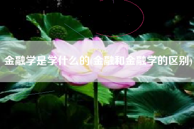 金融学是学什么的(金融和金融学的区别)