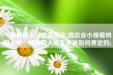 一般纳税人认定表图片(酒店业小规模纳税人和一般纳税人或个体是如何界定的)