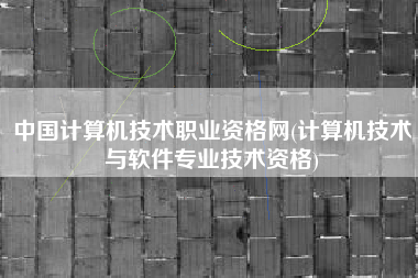 中国计算机技术职业资格网(计算机技术与软件专业技术资格)