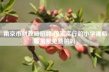 详细阅读:南京市财政局招聘(国家实行的小学课后服务是免费的吗) 南京市财政局招聘(国家实行的小学课后服务是免费的吗)