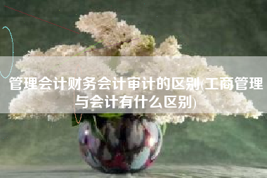 详细阅读:管理会计财务会计审计的区别(工商管理与会计有什么区别) 管理会计财务会计审计的区别(工商管理与会计有什么区别)