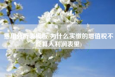 详细阅读:费用分析表模板(为什么实缴的增值税不能算入利润表里) 费用分析表模板(为什么实缴的增值税不能算入利润表里)