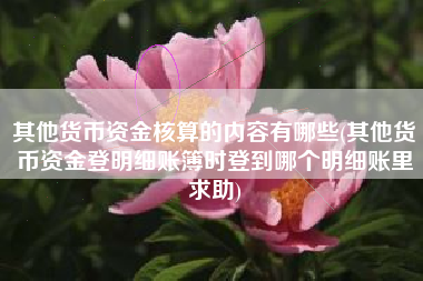详细阅读:其他货币资金核算的内容有哪些(其他货币资金登明细账簿时登到哪个明细账里求助) 其他货币资金核算的内容有哪些(其他货币资金登明细账簿时登到哪个明细账里求助)