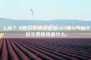 详细阅读:上海个人税后工资计算器(2022年12月份党员交费新规是什么) 上海个人税后工资计算器(2022年12月份党员交费新规是什么)