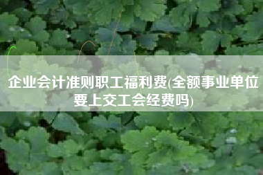 详细阅读:企业会计准则职工福利费(全额事业单位要上交工会经费吗) 企业会计准则职工福利费(全额事业单位要上交工会经费吗)