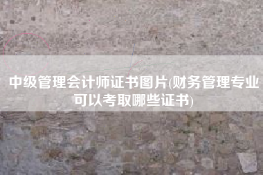 中级管理会计师证书图片(财务管理专业可以考取哪些证书)