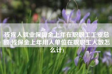 详细阅读:残疾人就业保障金上年在职职工工资总额(残保金上年用人单位在职职工人数怎么计) 残疾人就业保障金上年在职职工工资总额(残保金上年用人单位在职职工人数怎么计)