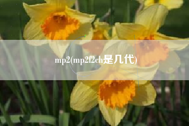 详细阅读:mp2(mp2f2ch是几代) mp2(mp2f2ch是几代)