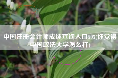 详细阅读:中国注册会计师成绩查询入口503(你觉得中国政法大学怎么样) 中国注册会计师成绩查询入口503(你觉得中国政法大学怎么样)