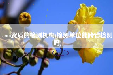 详细阅读:cma资质的检测机构(检测单位能跨省检测吗) cma资质的检测机构(检测单位能跨省检测吗)