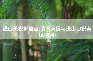 详细阅读:进口关税哪里查(请问关税与进出口税有区别吗) 进口关税哪里查(请问关税与进出口税有区别吗)
