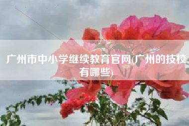 详细阅读:广州市中小学继续教育官网(广州的技校有哪些) 广州市中小学继续教育官网(广州的技校有哪些)