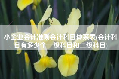 小企业会计准则会计科目体系表(会计科目有多少个一级科目和二级科目)