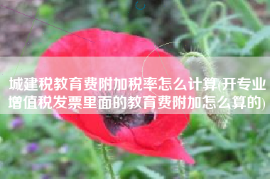 城建税教育费附加税率怎么计算(开专业增值税发票里面的教育费附加怎么算的)