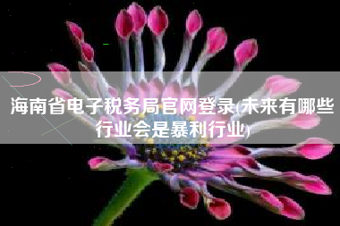 海南省电子税务局官网登录(未来有哪些行业会是暴利行业)