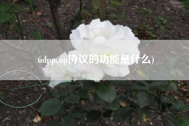 udpp(np协议的功能是什么)
