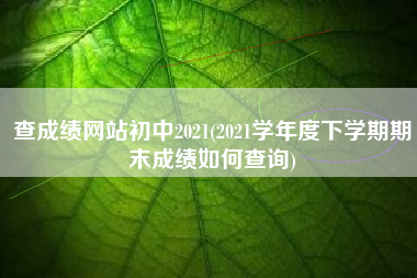 查成绩网站初中2021(2021学年度下学期期末成绩如何查询)