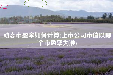 详细阅读:动态市盈率如何计算(上市公司市值以哪个市盈率为准) 动态市盈率如何计算(上市公司市值以哪个市盈率为准)