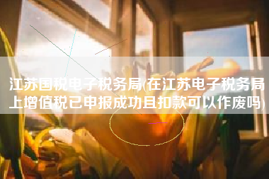 江苏国税电子税务局(在江苏电子税务局上增值税已申报成功且扣款可以作废吗)