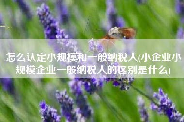 怎么认定小规模和一般纳税人(小企业小规模企业一般纳税人的区别是什么)