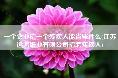 一个企业招一个残疾人能省些什么(江苏远鸿纸业有限公司招聘残疾人)