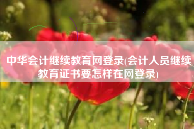 中华会计继续教育网登录(会计人员继续教育证书要怎样在网登录)