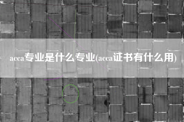 acca专业是什么专业(acca证书有什么用)