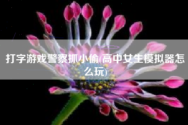 打字游戏警察抓小偷(高中女生模拟器怎么玩)