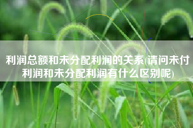 利润总额和未分配利润的关系(请问未付利润和未分配利润有什么区别呢)