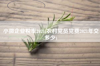 详细阅读:小微企业税率2021(农村党员党费2021年交多少) 小微企业税率2021(农村党员党费2021年交多少)