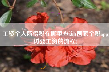 详细阅读:工资个人所得税在哪里查询(国家个税app讨要工资的流程) 工资个人所得税在哪里查询(国家个税app讨要工资的流程)