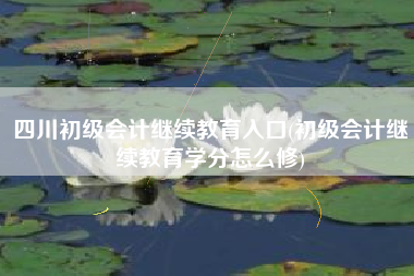 详细阅读:四川初级会计继续教育入口(初级会计继续教育学分怎么修) 四川初级会计继续教育入口(初级会计继续教育学分怎么修)