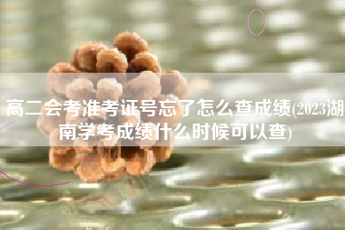 详细阅读:高二会考准考证号忘了怎么查成绩(2023湖南学考成绩什么时候可以查) 高二会考准考证号忘了怎么查成绩(2023湖南学考成绩什么时候可以查)