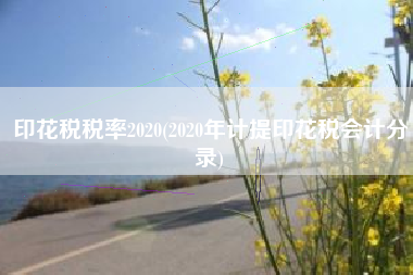 详细阅读:印花税税率2020(2020年计提印花税会计分录) 印花税税率2020(2020年计提印花税会计分录)