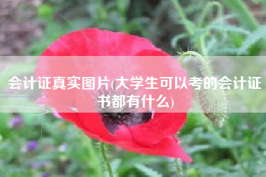 详细阅读:会计证真实图片(大学生可以考的会计证书都有什么) 会计证真实图片(大学生可以考的会计证书都有什么)